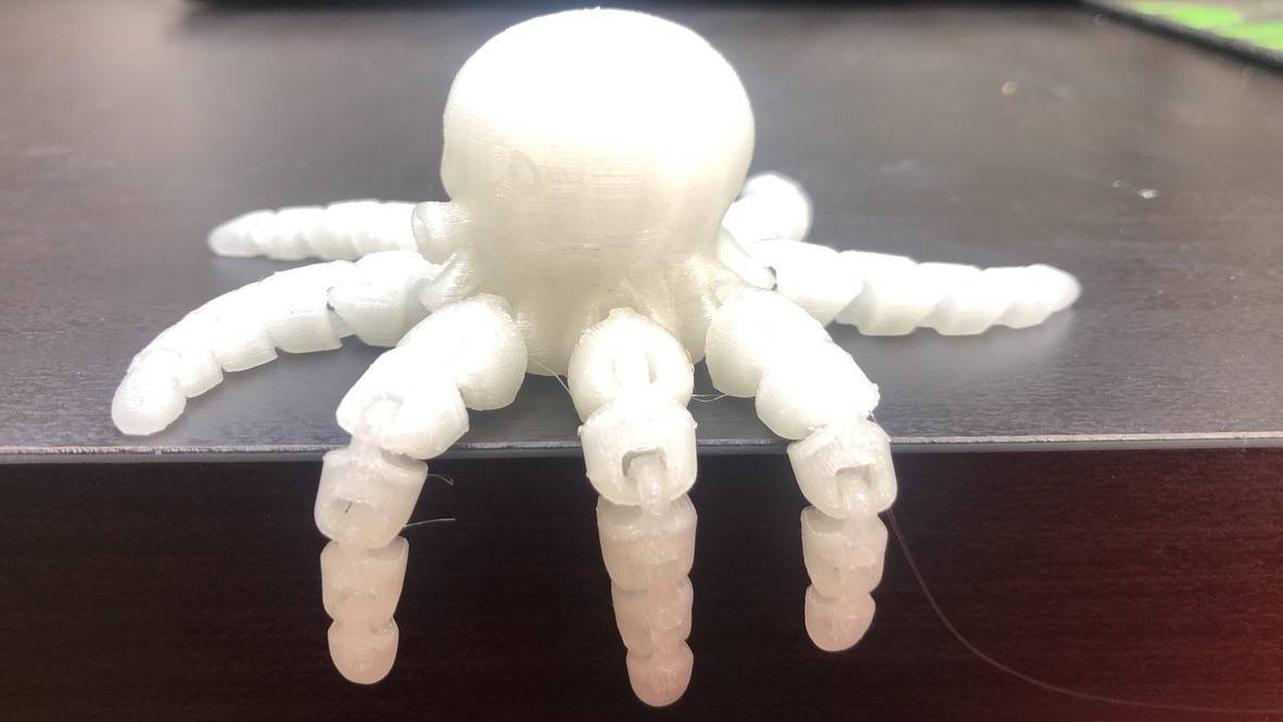 3D printed octopus.